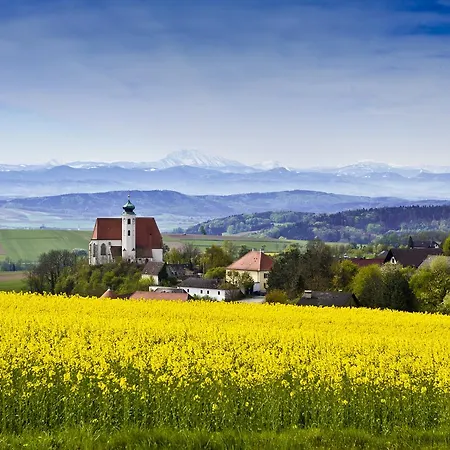 Hirschenwirt *