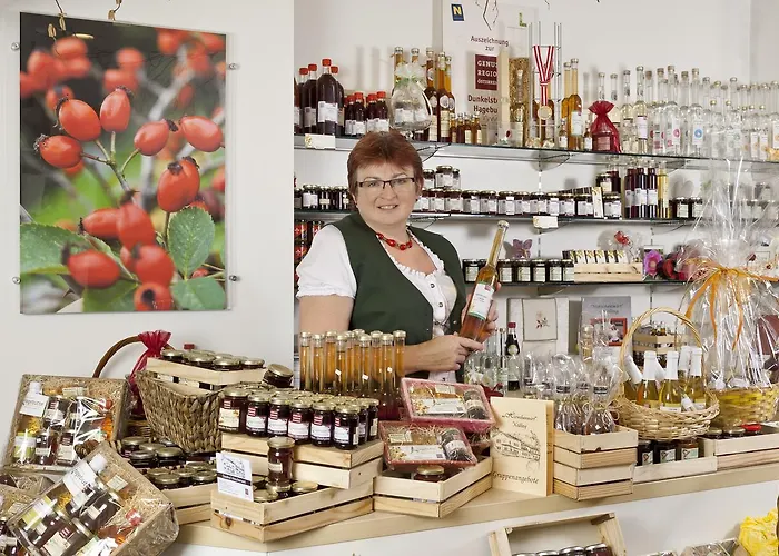 Hirschenwirt Hotel Schonbuhel an der Donau